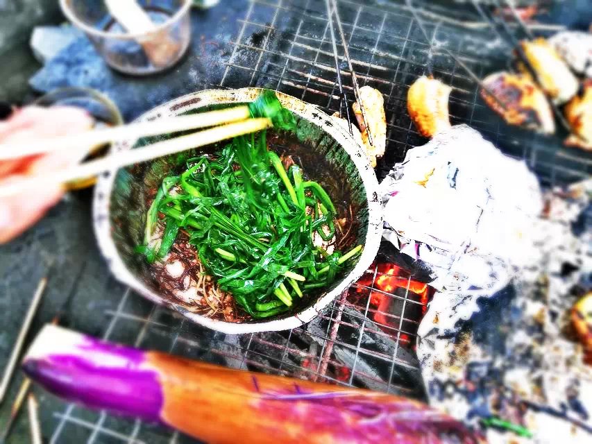 2014-���������տ�